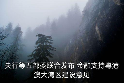 央行等五部委聯(lián)合發(fā)布 金融支持粵港澳大灣區(qū)建設(shè)意見