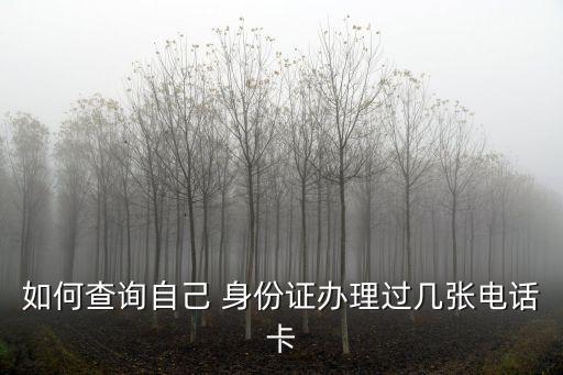 如何查詢自己 身份證辦理過幾張電話卡