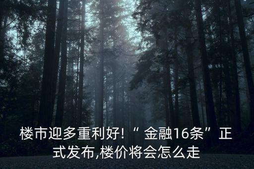 金融16條對房地產(chǎn)行業(yè)的影響,金融房地產(chǎn)行業(yè)分析報告