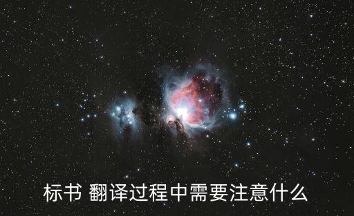標(biāo)書 翻譯過程中需要注意什么