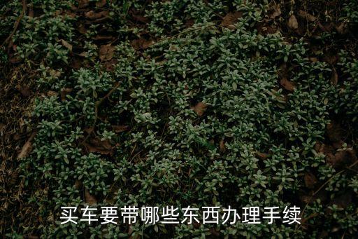  買車要帶哪些東西辦理手續(xù)