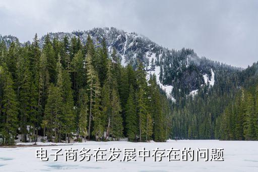 電商法落地,2022新電商法