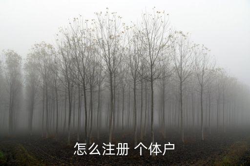 注冊(cè)個(gè)體工商戶
