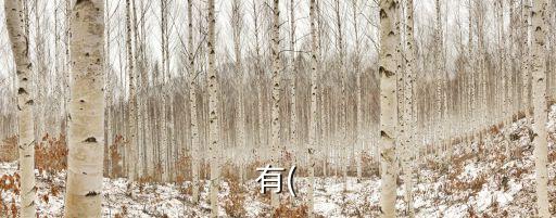 有根有據(jù),百度熱搜有根有據(jù)