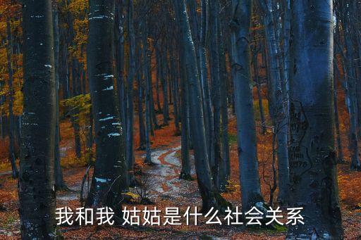 我和我 姑姑是什么社會關系