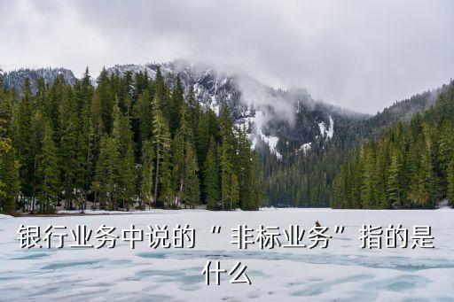 銀行業(yè)務(wù)中說的“ 非標業(yè)務(wù)”指的是什么