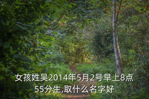 女孩姓吳2014年5月2號早上8點55分生,取什么名字好