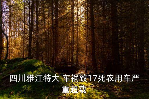 四川雅江特大 車禍致17死農(nóng)用車嚴(yán)重超載