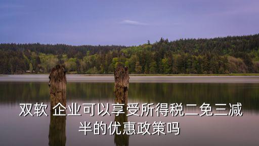  雙軟 企業(yè)可以享受所得稅二免三減半的優(yōu)惠政策嗎