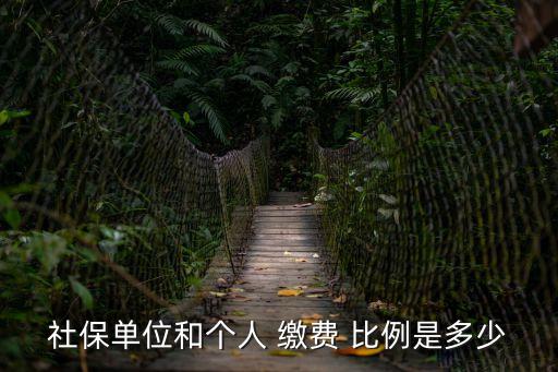 生育保險繳費比例,2022生育保險繳費比例