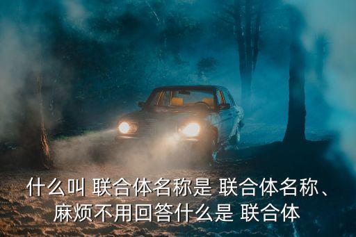 什么叫 聯(lián)合體名稱是 聯(lián)合體名稱、麻煩不用回答什么是 聯(lián)合體