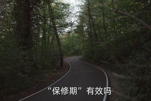 “保修期”有效嗎