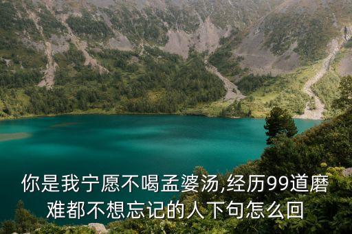 你是我寧愿不喝孟婆湯,經(jīng)歷99道磨難都不想忘記的人下句怎么回