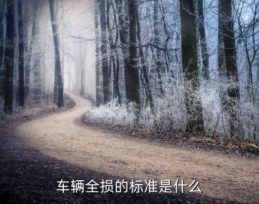 全部損失,平安險項下賠償因自然災害造成的全部損失