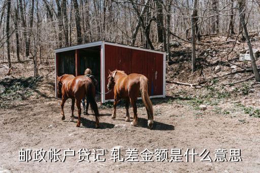 郵政帳戶貸記 軋差金額是什么意思