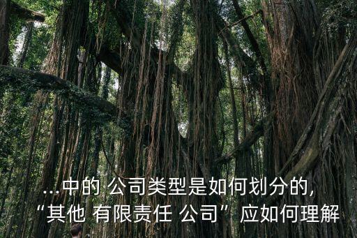 其他有限責(zé)任公司