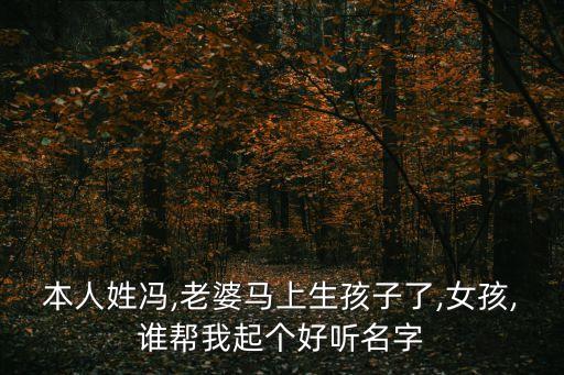 馮婷