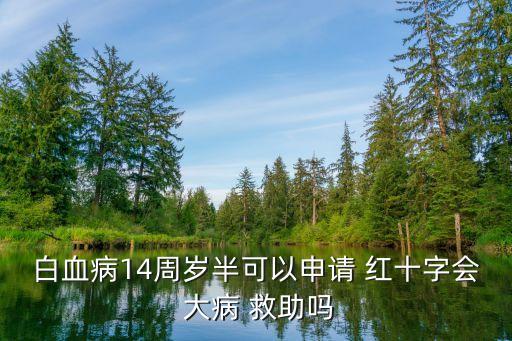 白血病14周歲半可以申請(qǐng) 紅十字會(huì) 大病 救助嗎