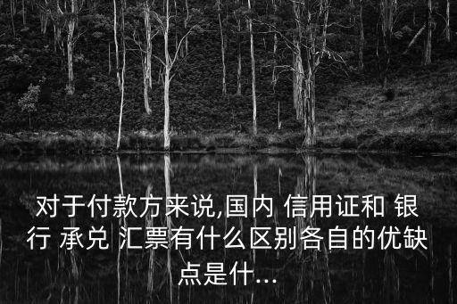 對于付款方來說,國內(nèi) 信用證和 銀行 承兌 匯票有什么區(qū)別各自的優(yōu)缺點是什...