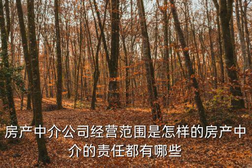 房地產(chǎn)經(jīng)紀(jì)機構(gòu)