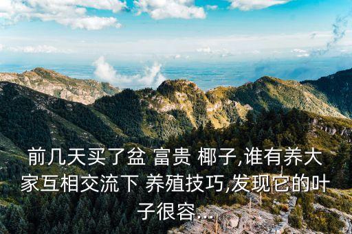 前幾天買了盆 富貴 椰子,誰(shuí)有養(yǎng)大家互相交流下 養(yǎng)殖技巧,發(fā)現(xiàn)它的葉子很容...