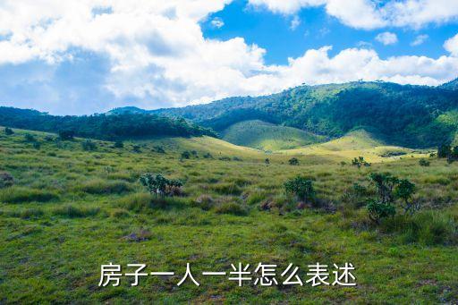 一人半