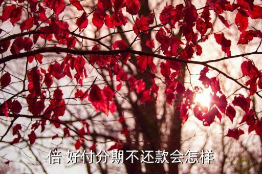 倍好付分期可以取消嗎