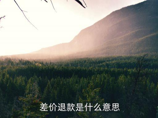 退差價