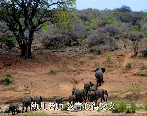 幼兒園素質(zhì)教育,什么是幼兒園素質(zhì)教育