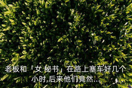 我和秘書