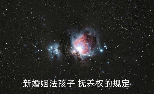 撫養(yǎng)子女