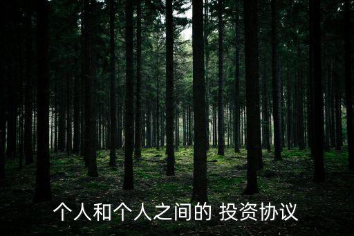 個(gè)人投資合作合同協(xié)議書,個(gè)人出租房屋合同協(xié)議書