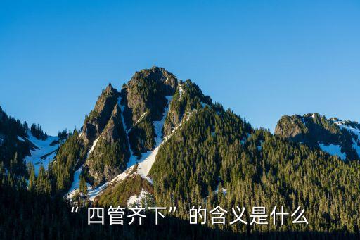“ 四管齊下”的含義是什么