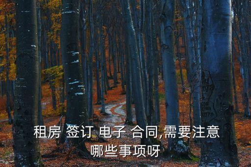  租房 簽訂 電子 合同,需要注意哪些事項呀