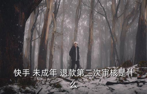 快手未成年退款