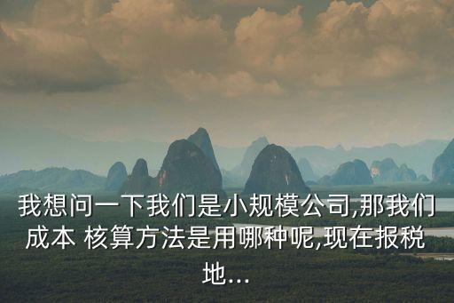 核算方式怎么填,小規(guī)模納稅人核算方式怎么填