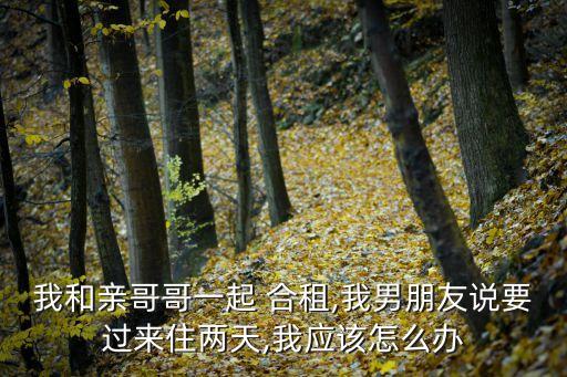 我的合租老婆,出租房里的愛情第11節(jié)