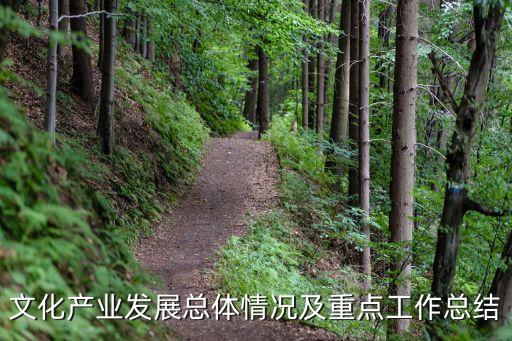 文化產(chǎn)業(yè)發(fā)展總體情況及重點(diǎn)工作總結(jié)