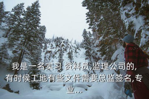 23歲資料員代簽字坐牢了,怎樣簽字不承擔(dān)法律責(zé)任