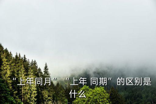什么叫同期