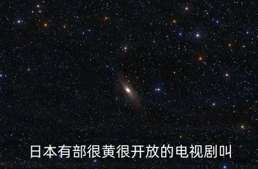  日本有部很黃很開放的電視劇叫