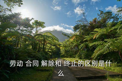 勞動(dòng) 合同 解除和 終止的區(qū)別是什么