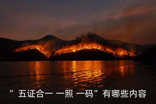 ”五證合一 一照 一碼”有哪些內(nèi)容