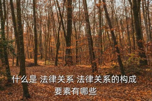 什么是 法律關(guān)系 法律關(guān)系的構(gòu)成 要素有哪些