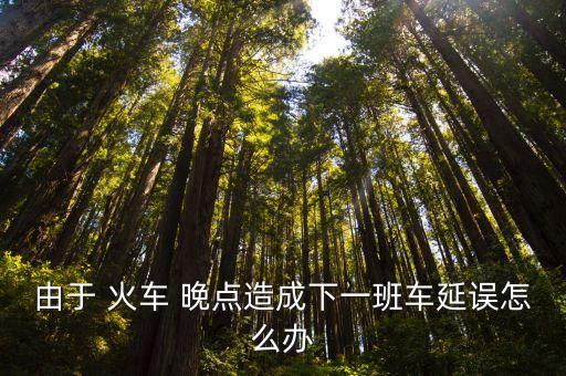 由于 火車 晚點造成下一班車延誤怎么辦