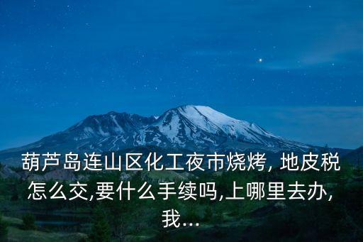 葫蘆島連山區(qū)化工夜市燒烤, 地皮稅怎么交,要什么手續(xù)嗎,上哪里去辦,我...