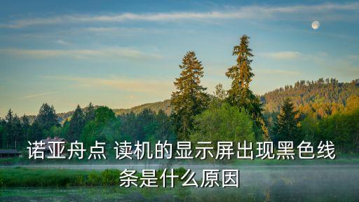  諾亞舟點(diǎn) 讀機(jī)的顯示屏出現(xiàn)黑色線條是什么原因