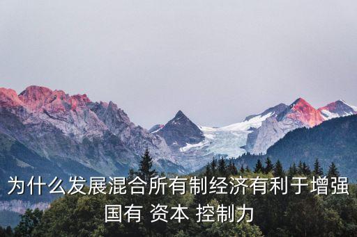 為什么發(fā)展混合所有制經(jīng)濟(jì)有利于增強(qiáng)國(guó)有 資本 控制力