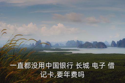 長城電子借記卡