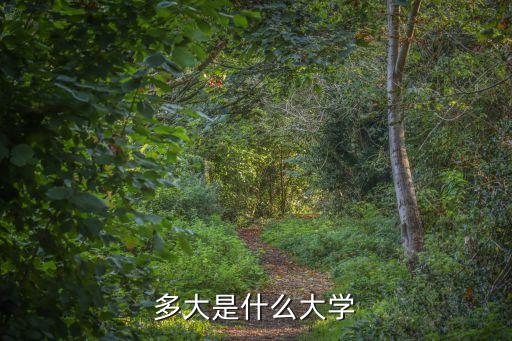 加拿大多大